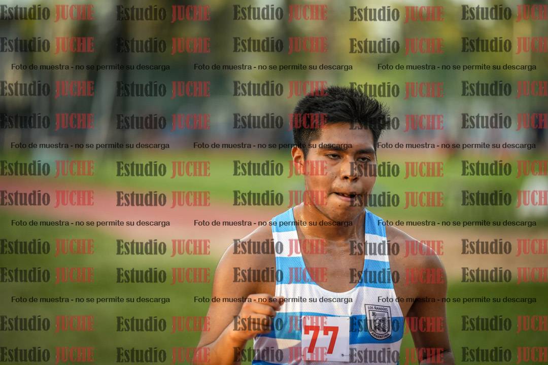 Fotos de los 5000 m llanos
