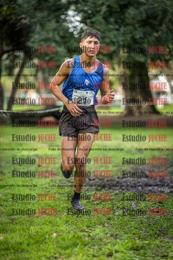Fotos en el circuito