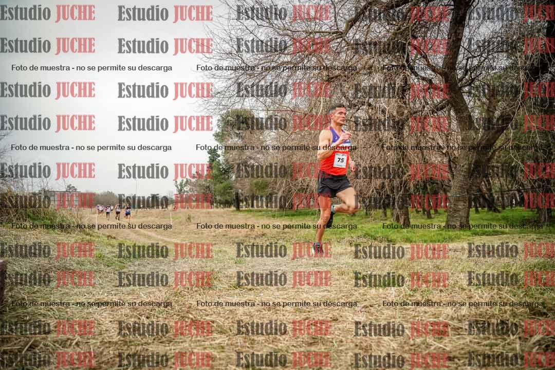 Fotos en el circuito