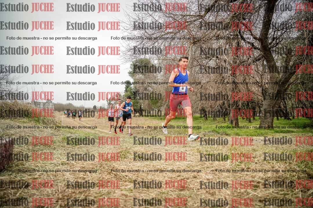 Fotos en el circuito