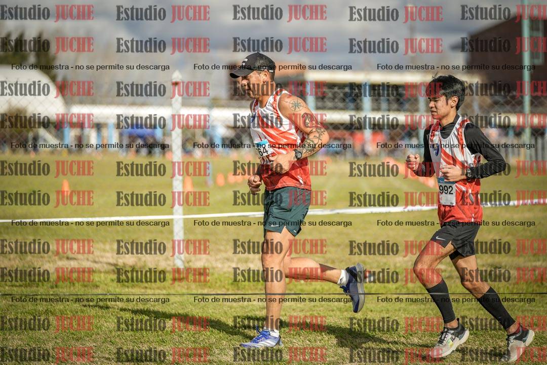 Fotos en el circuito