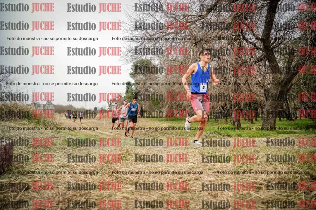 Fotos en el circuito