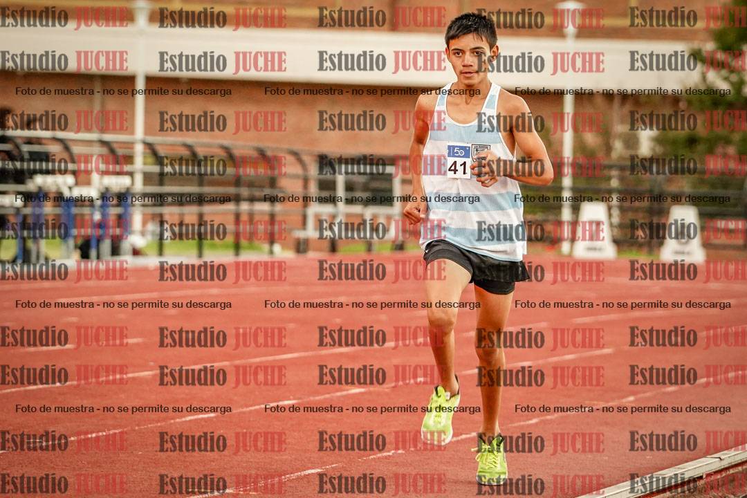 Fotos de los 3000 m llanos de varones