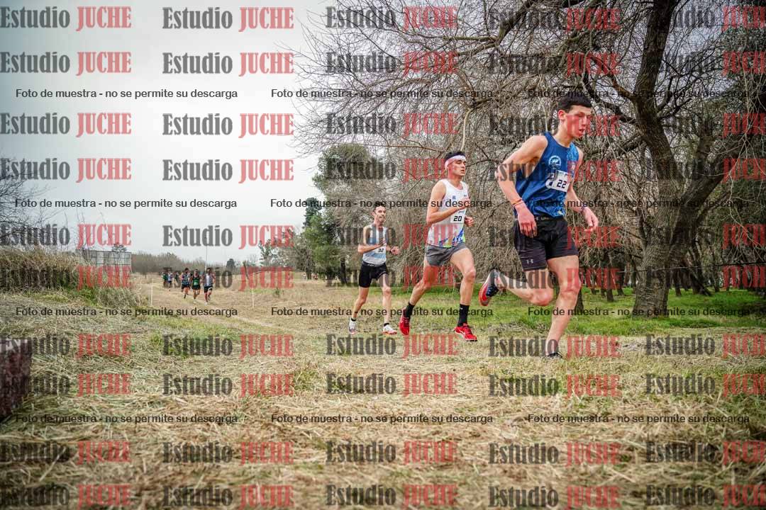 Fotos en el circuito