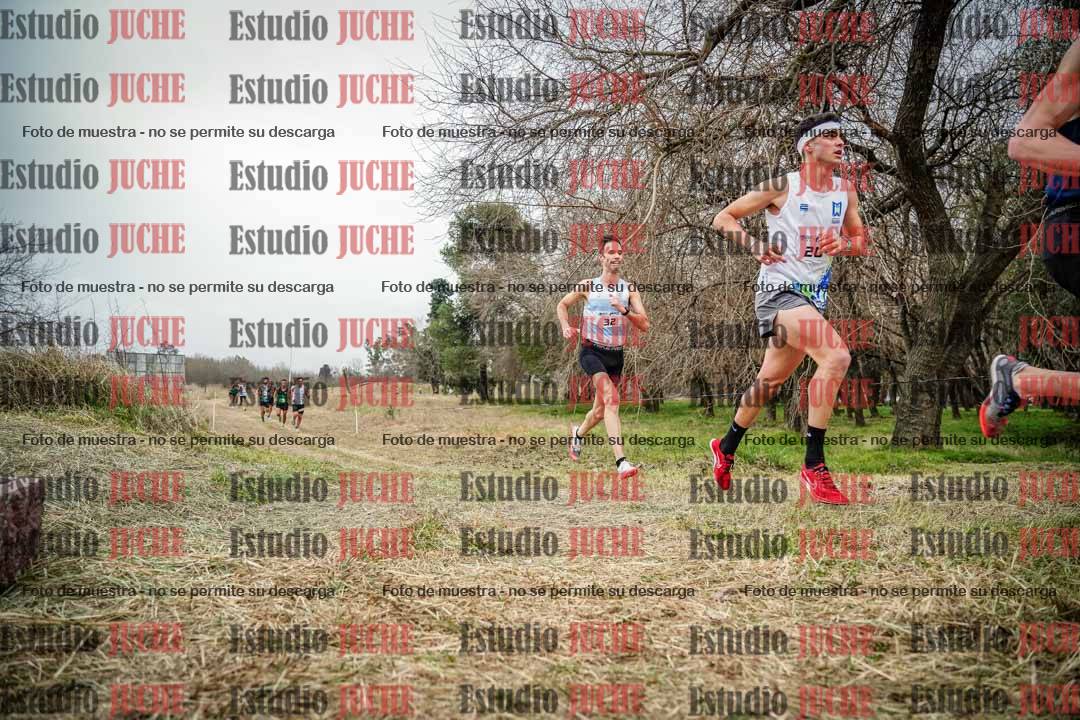 Fotos en el circuito