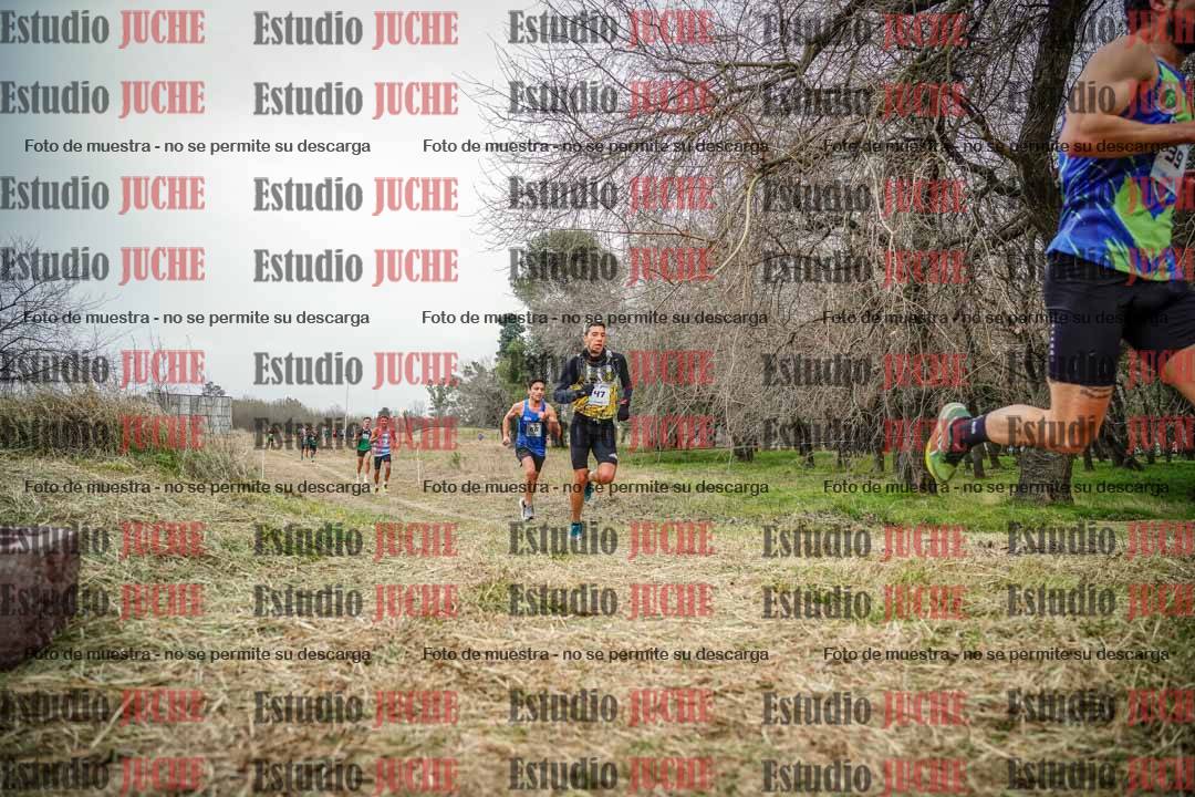 Fotos en el circuito