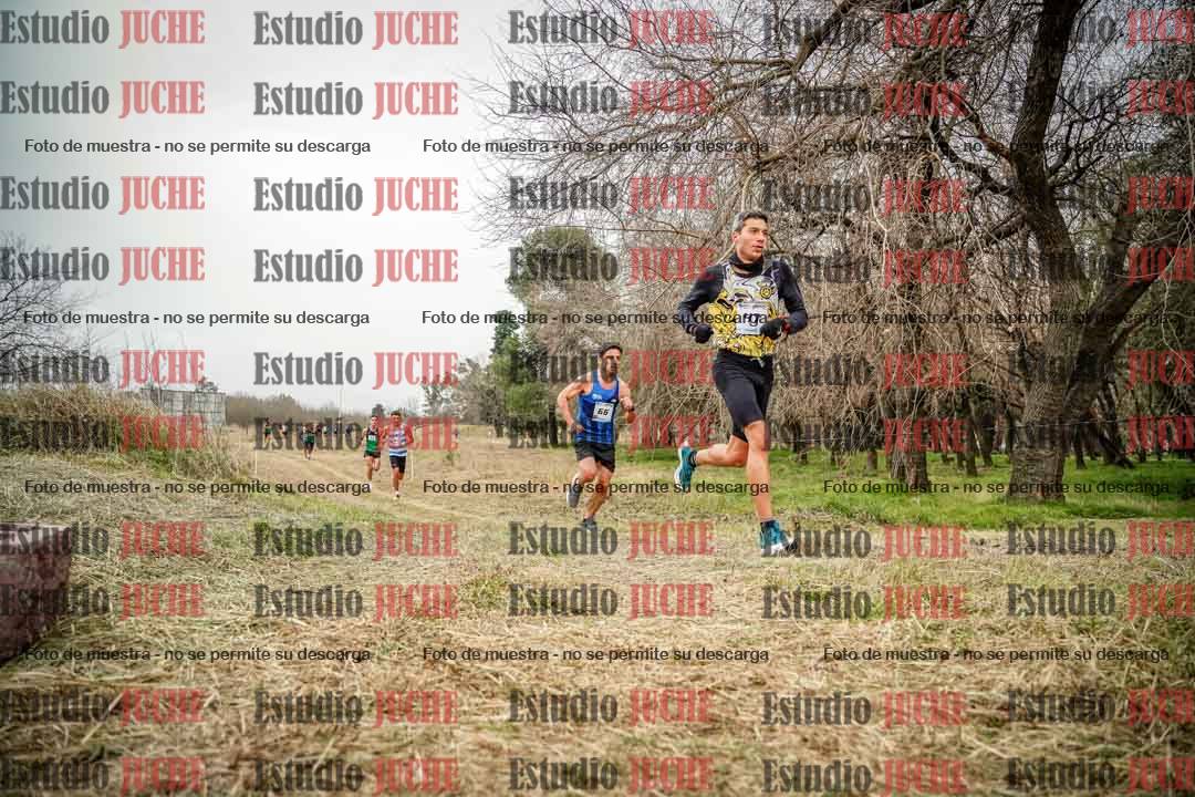 Fotos en el circuito