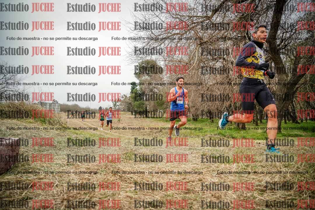Fotos en el circuito