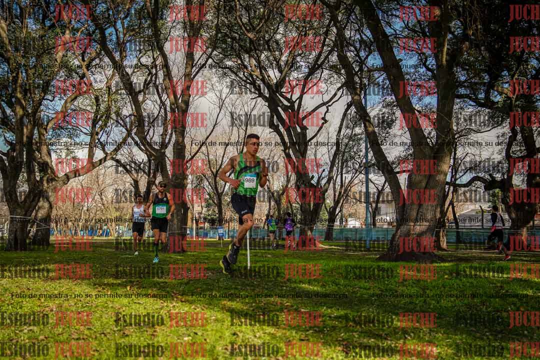 Fotos en el circuito