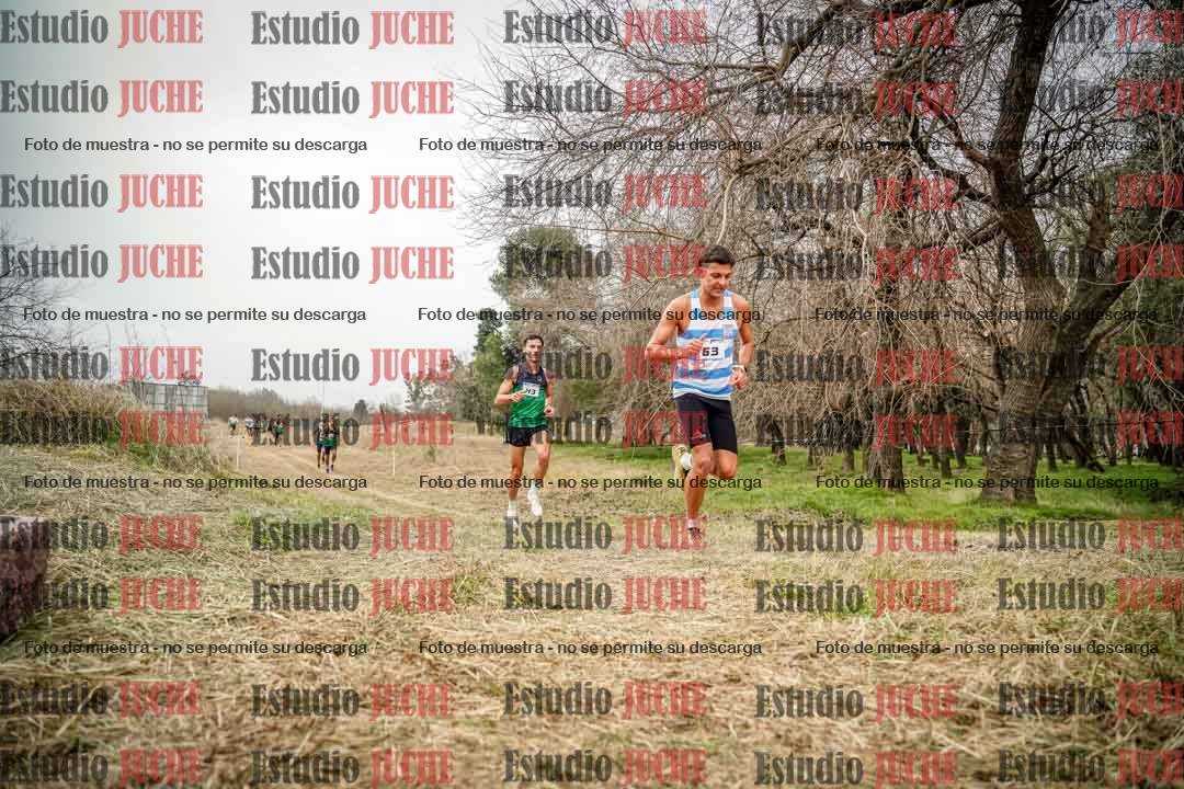 Fotos en el circuito