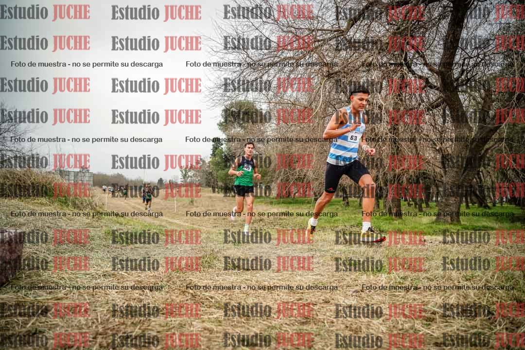 Fotos en el circuito