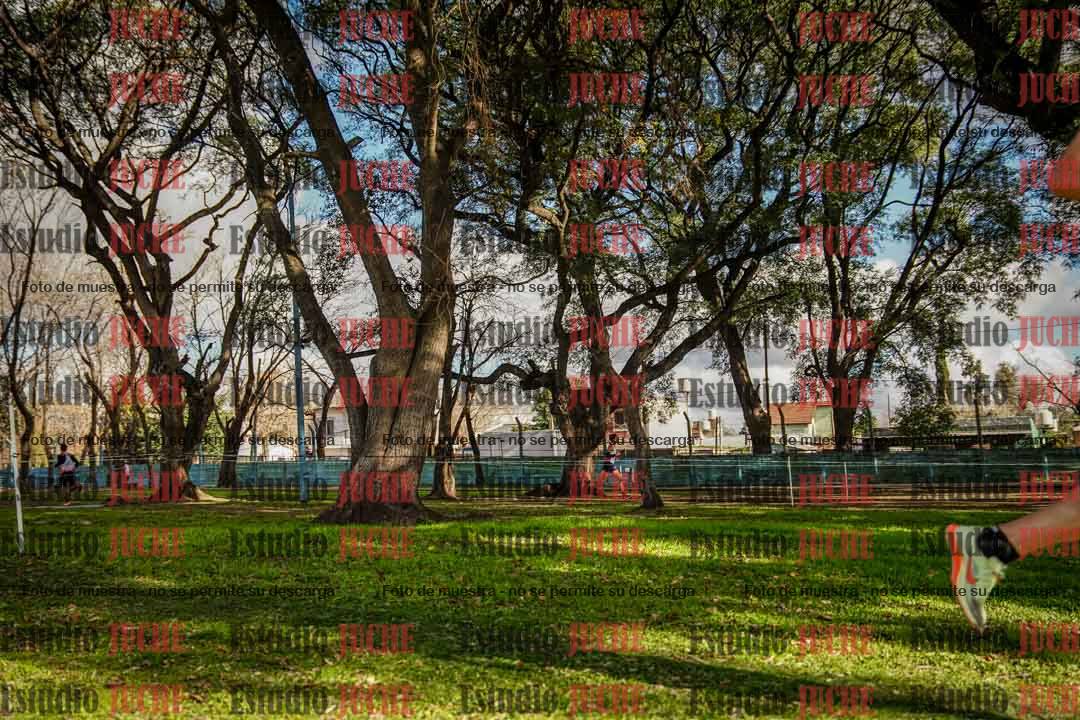 Fotos en el circuito