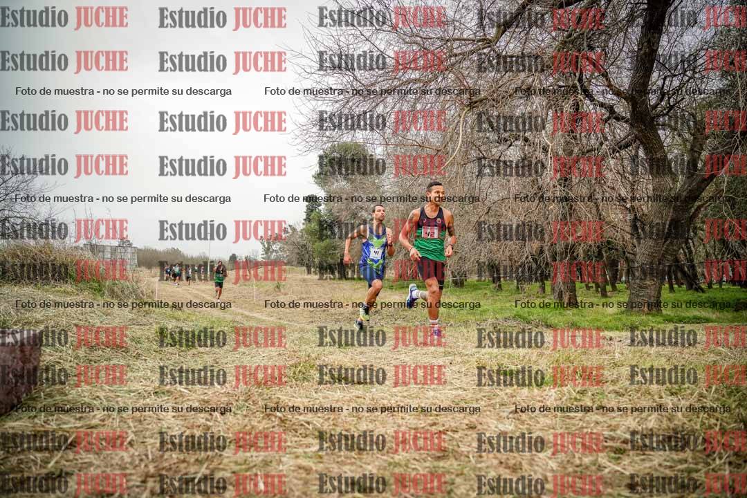 Fotos en el circuito