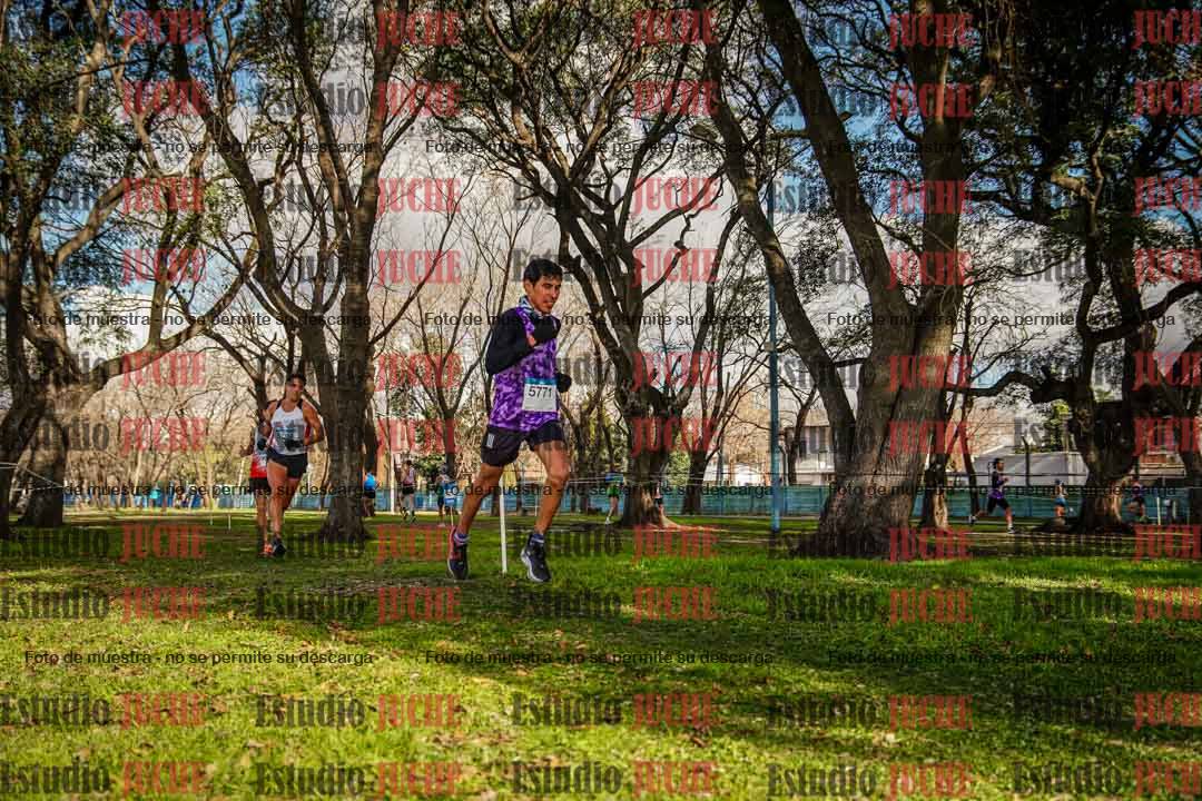 Fotos en el circuito