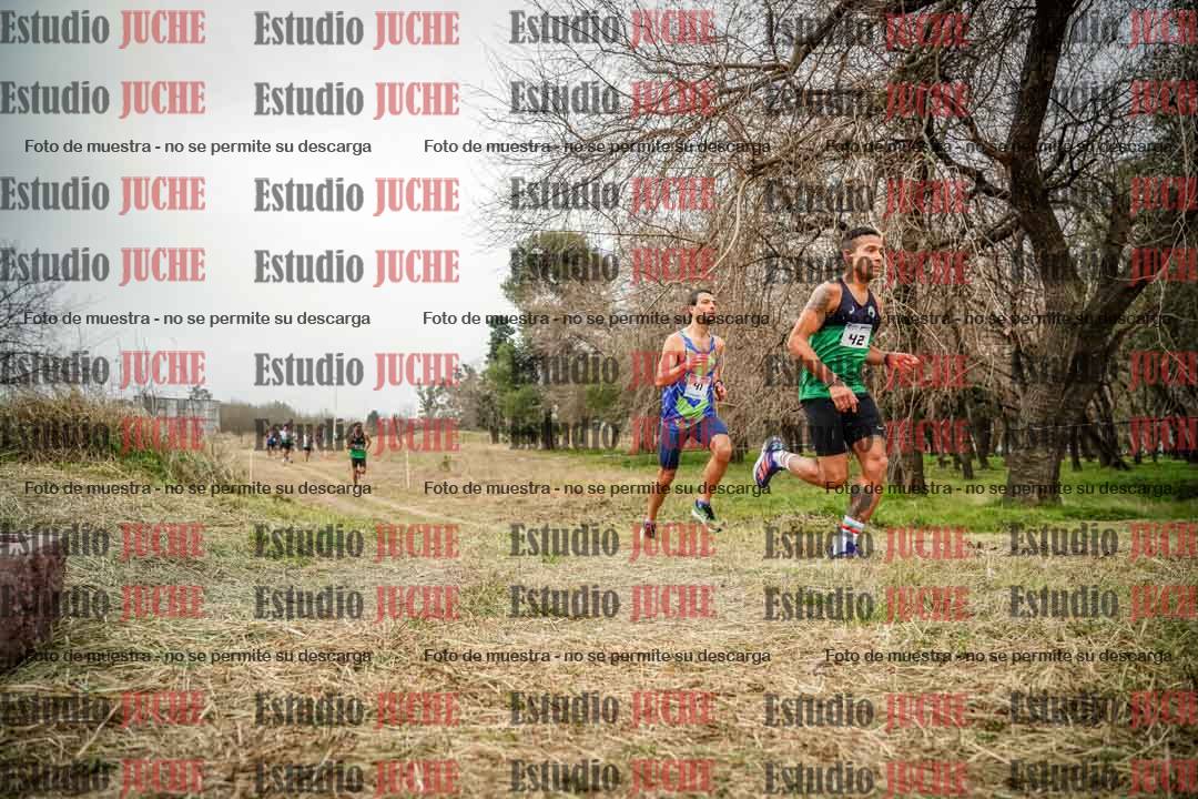 Fotos en el circuito