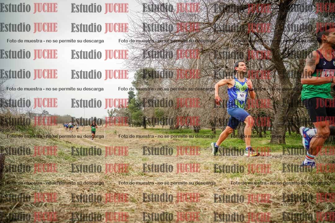 Fotos en el circuito