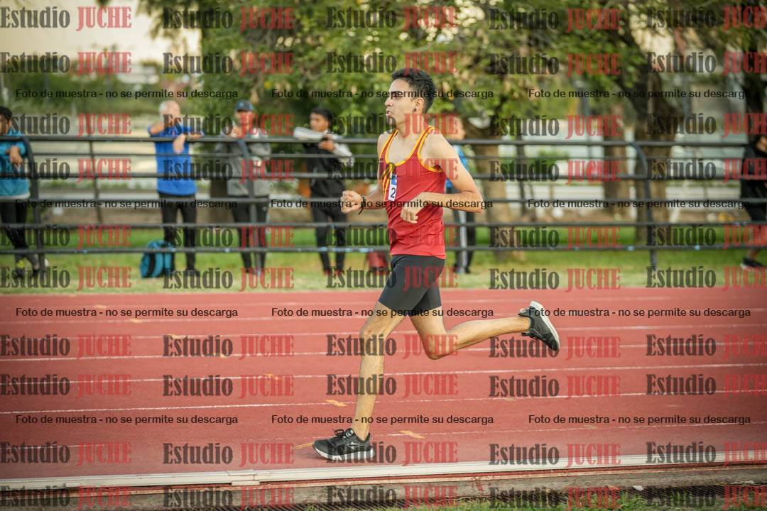 Fotos de los 3000 m llanos de varones