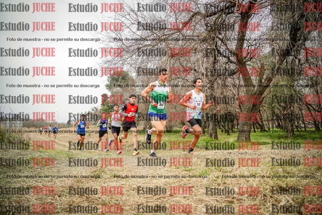 Fotos en el circuito