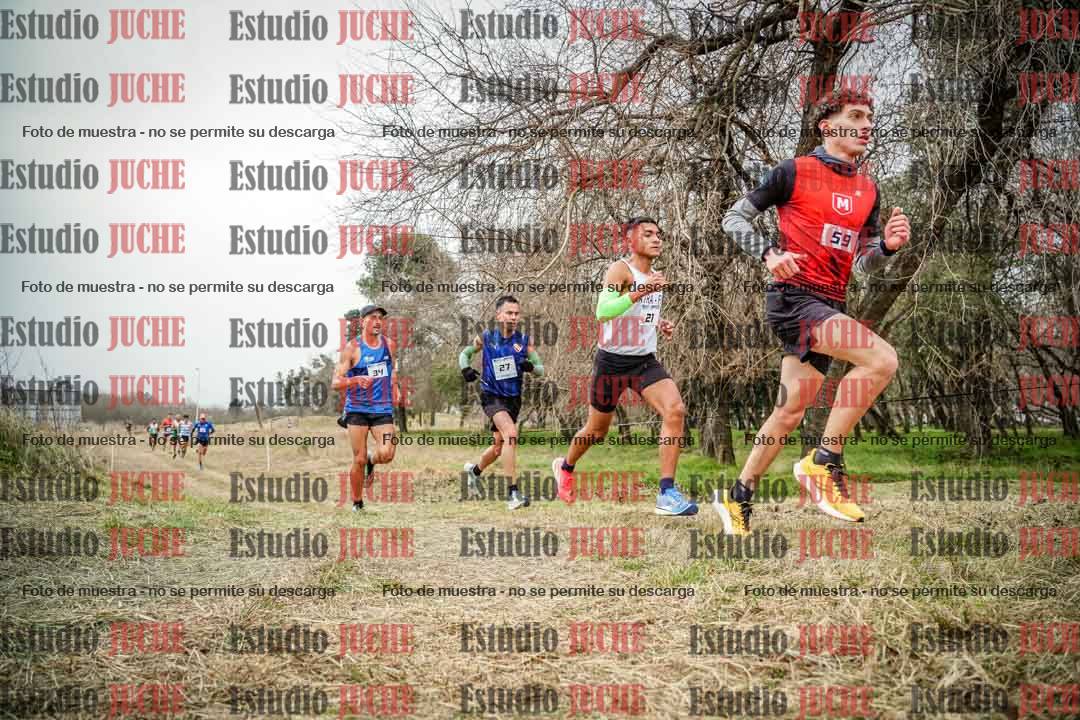 Fotos en el circuito