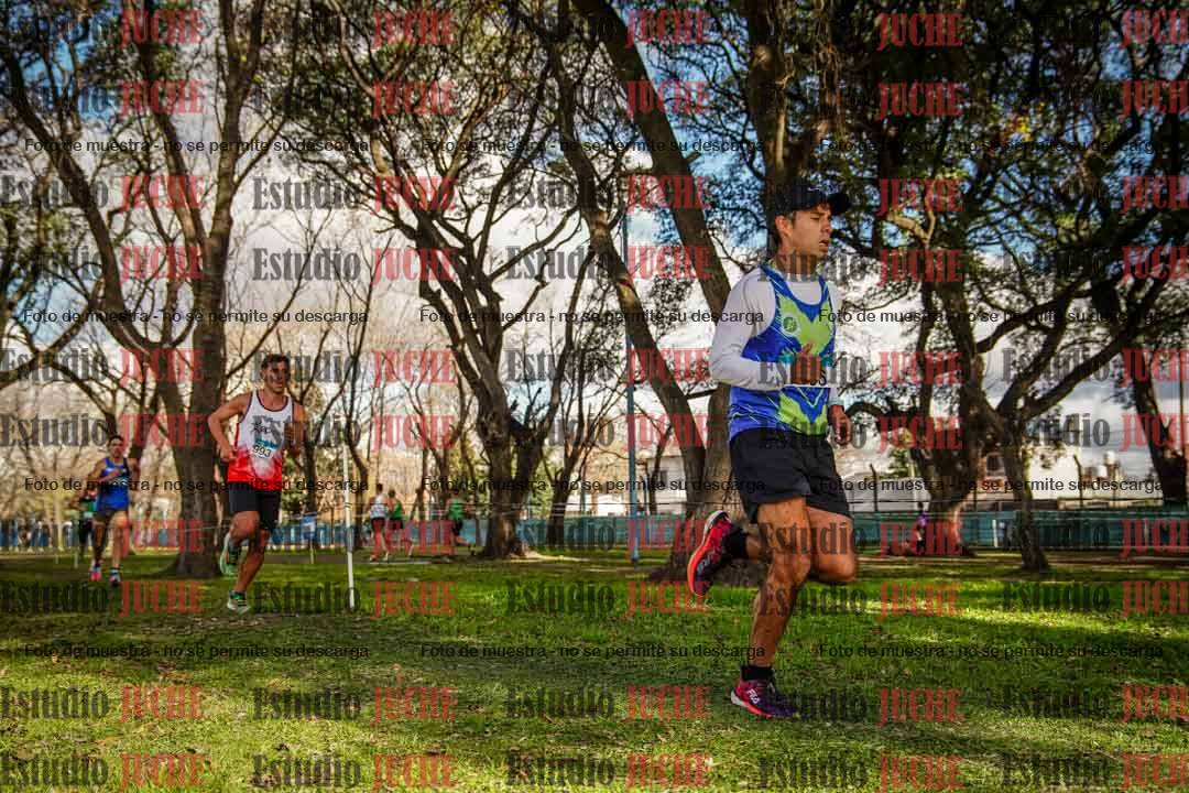 Fotos en el circuito