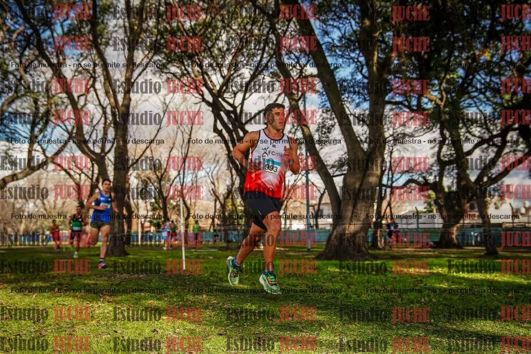 Fotos en el circuito