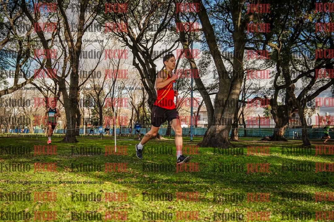 Fotos en el circuito