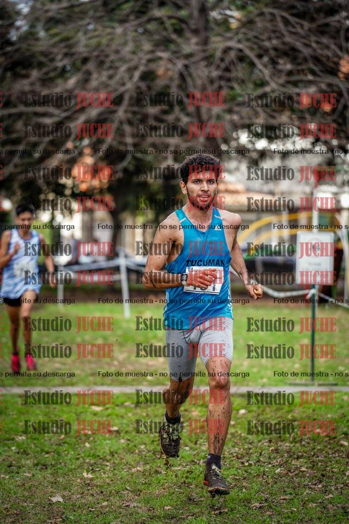 Fotos en el circuito