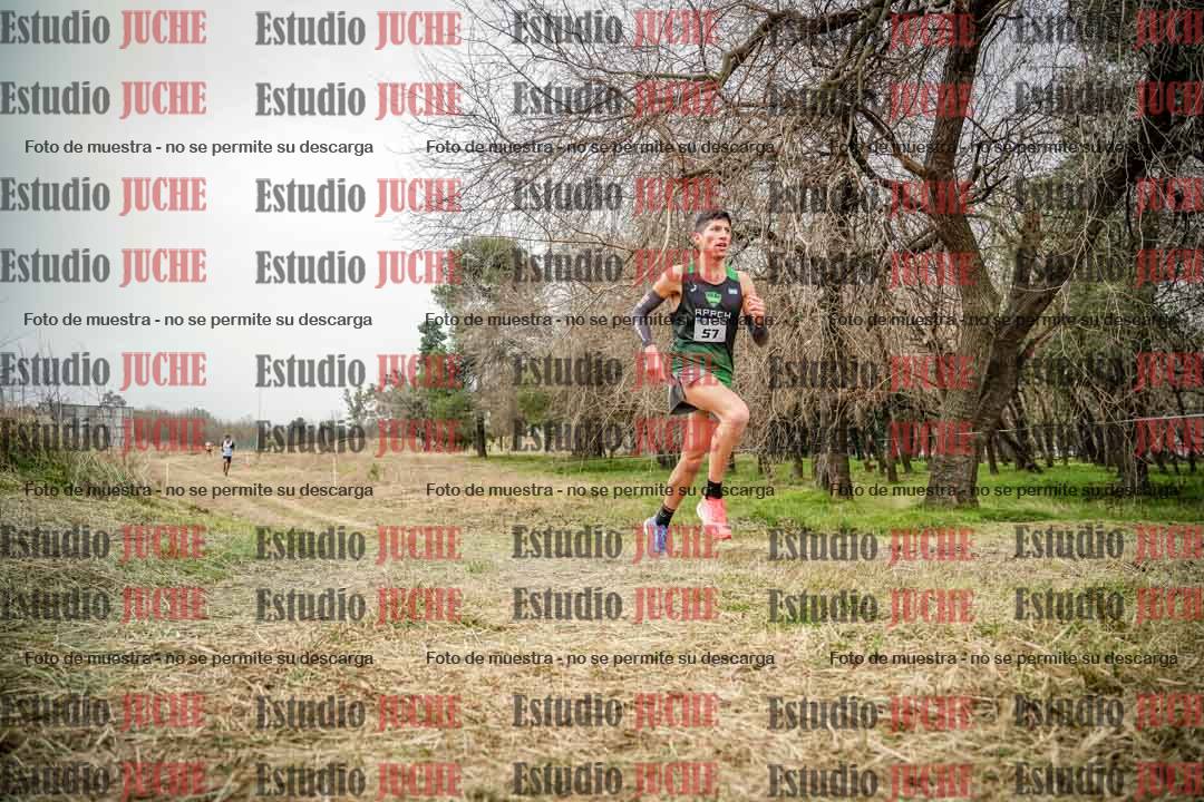 Fotos en el circuito