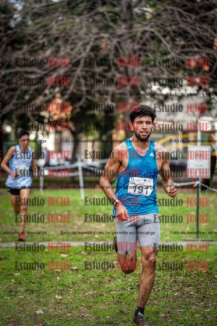 Fotos en el circuito