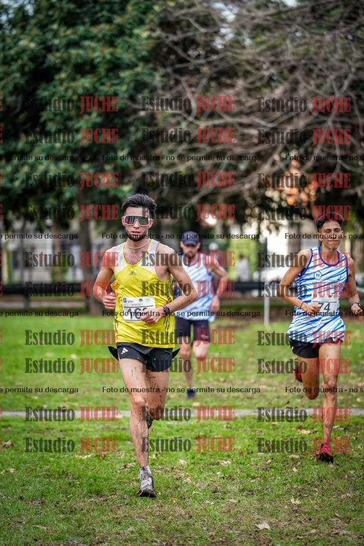Fotos en el circuito