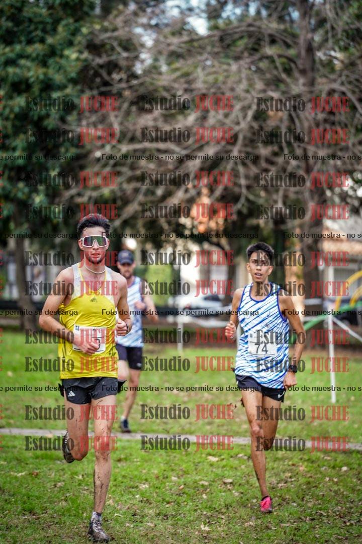 Fotos en el circuito