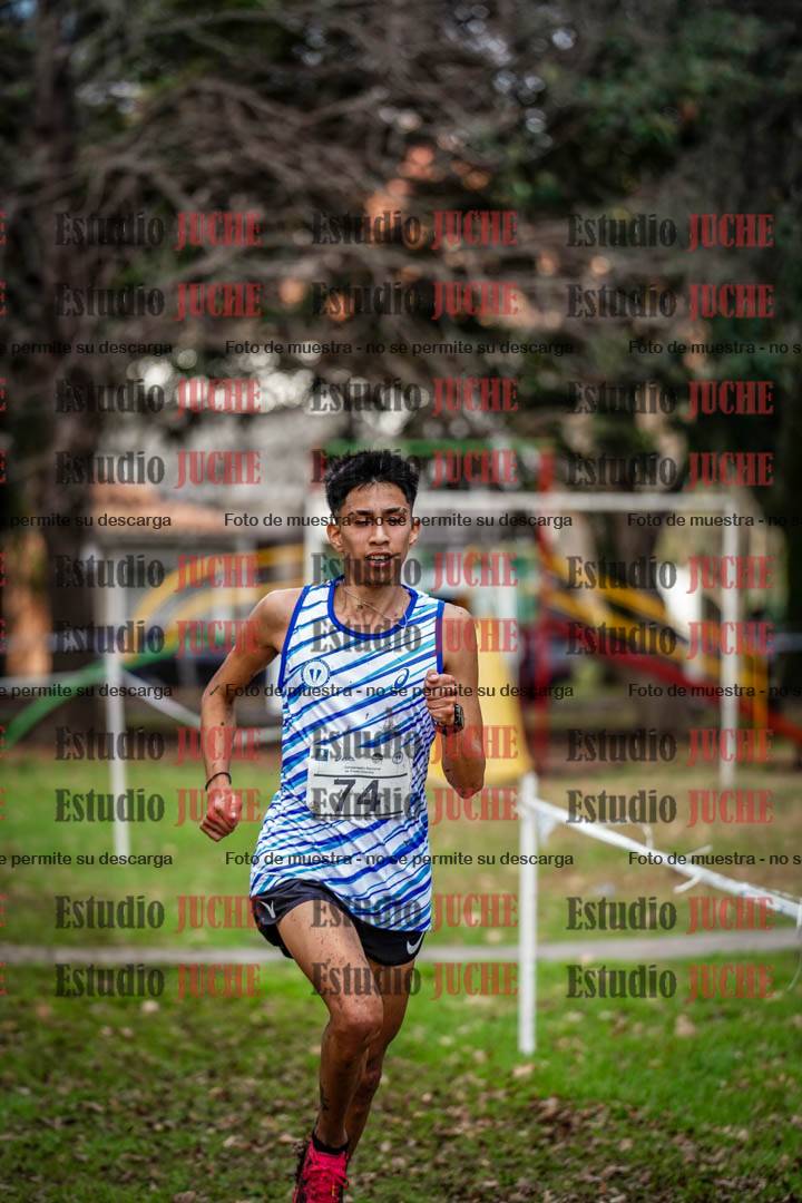 Fotos en el circuito