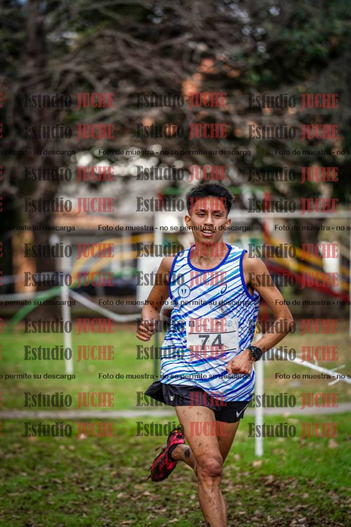 Fotos en el circuito