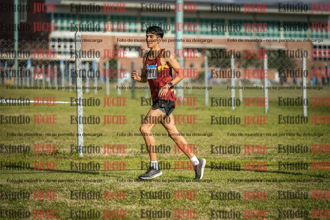 Fotos en el circuito