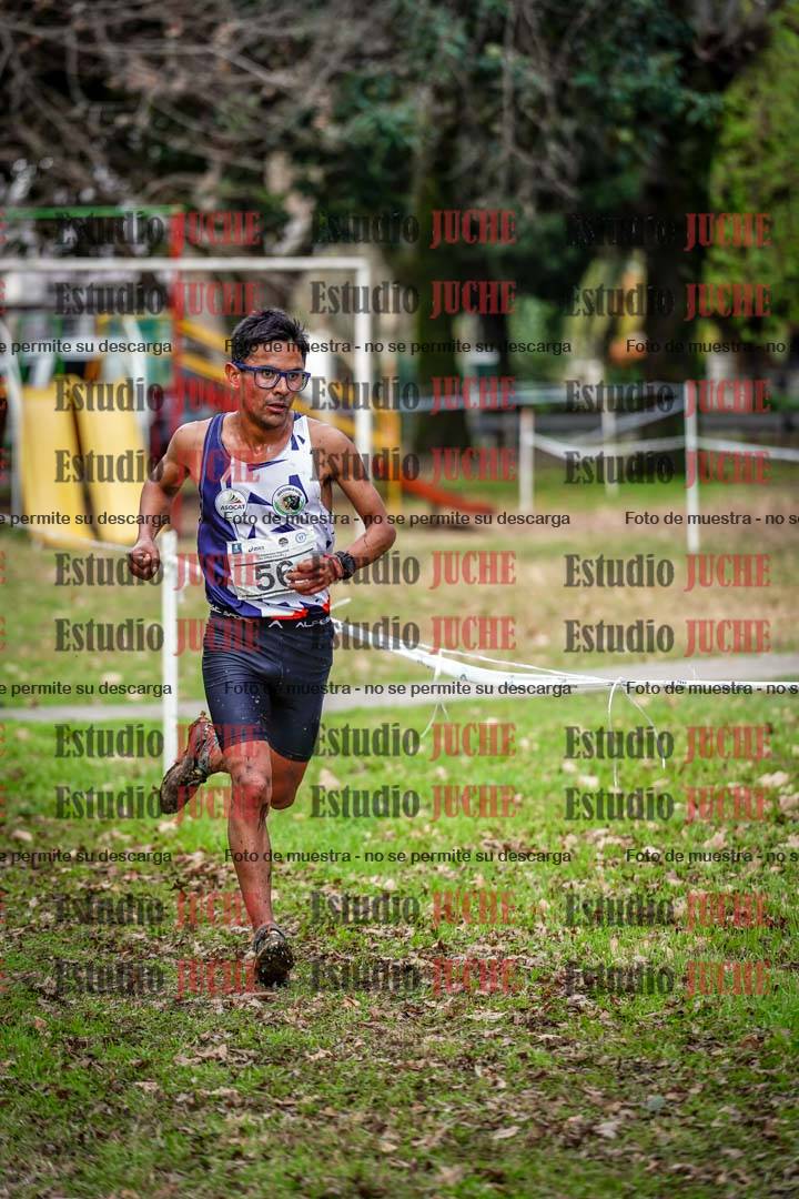 Fotos en el circuito