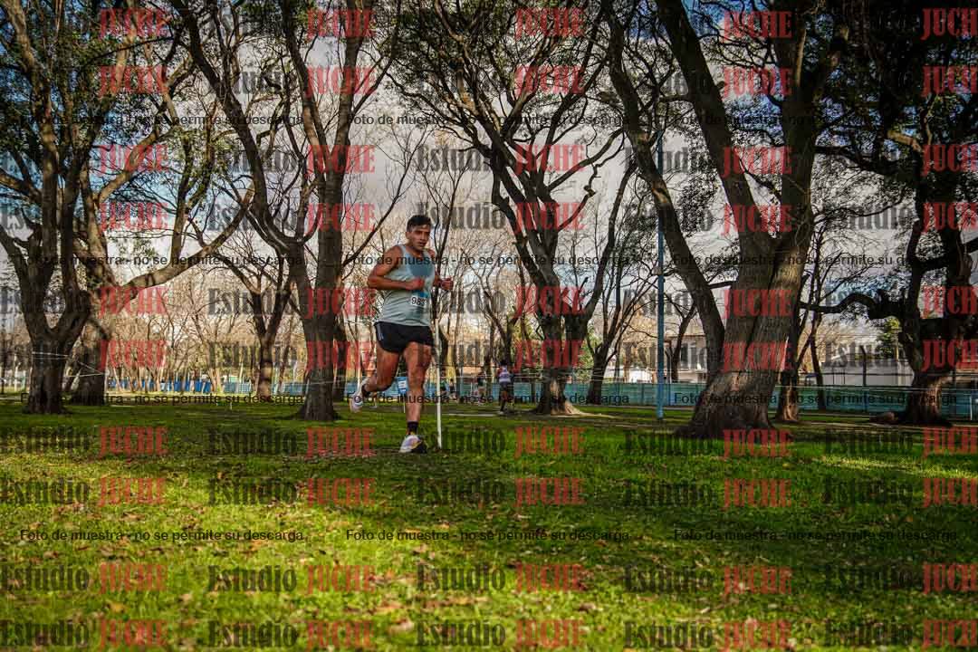 Fotos en el circuito