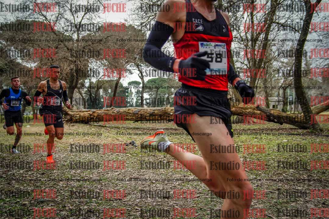 Fotos en el circuito