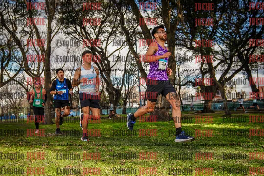 Fotos en el circuito