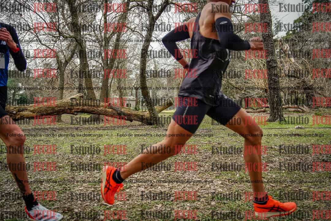Fotos en el circuito