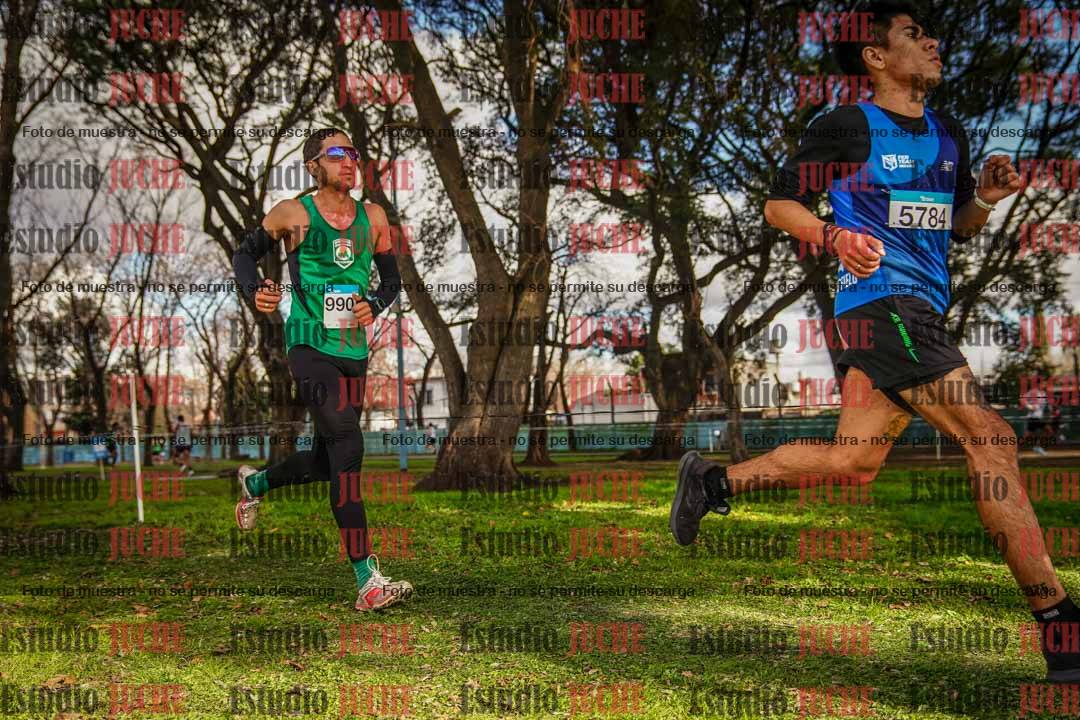 Fotos en el circuito