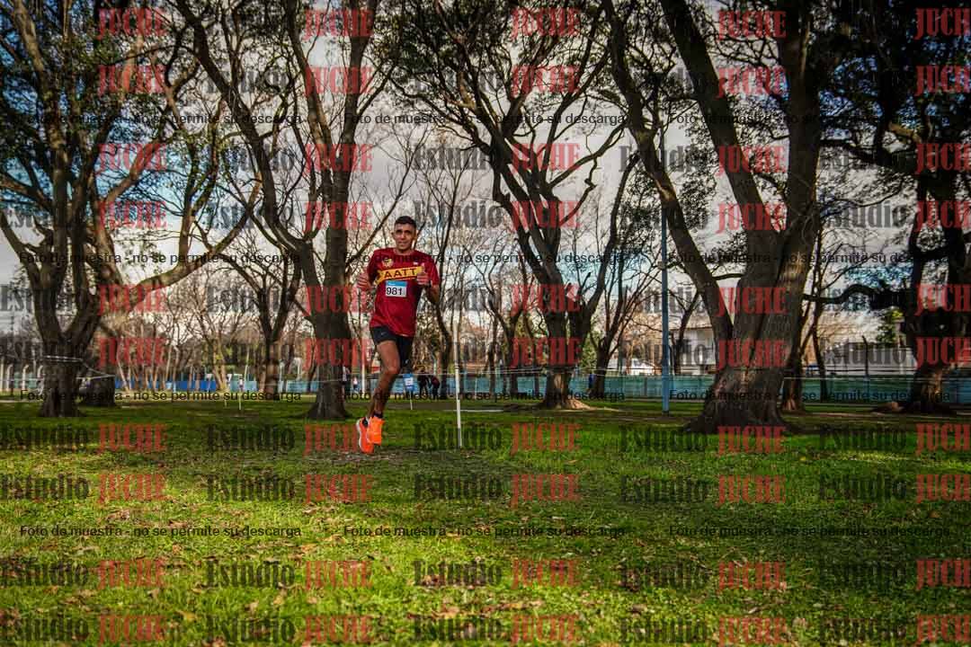 Fotos en el circuito
