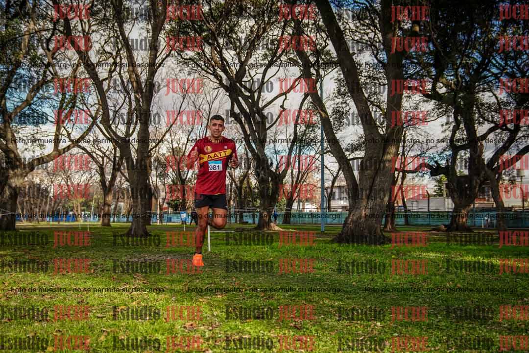 Fotos en el circuito