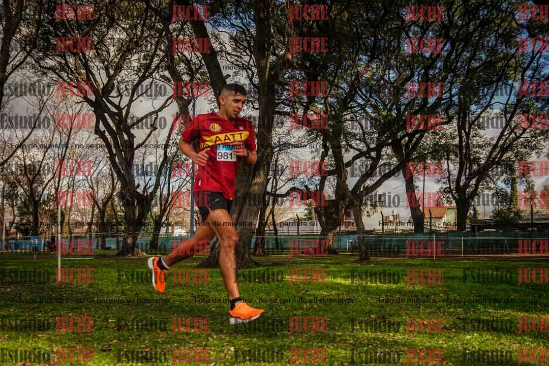 Fotos en el circuito