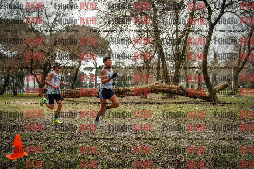 Fotos en el circuito