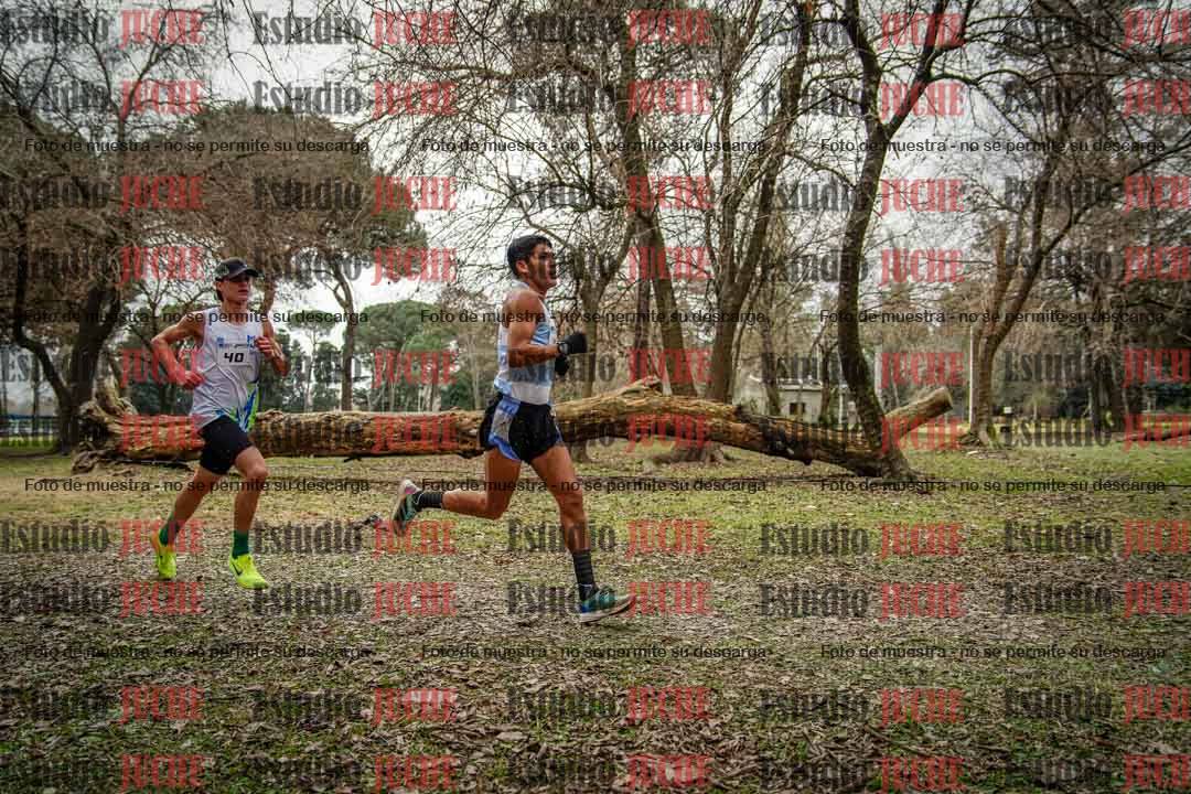 Fotos en el circuito