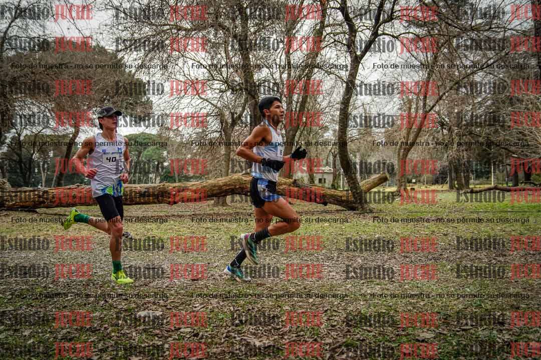 Fotos en el circuito