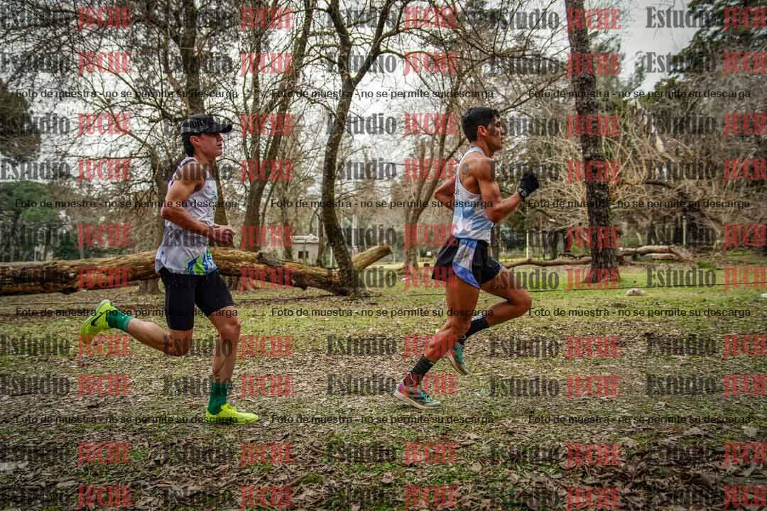 Fotos en el circuito