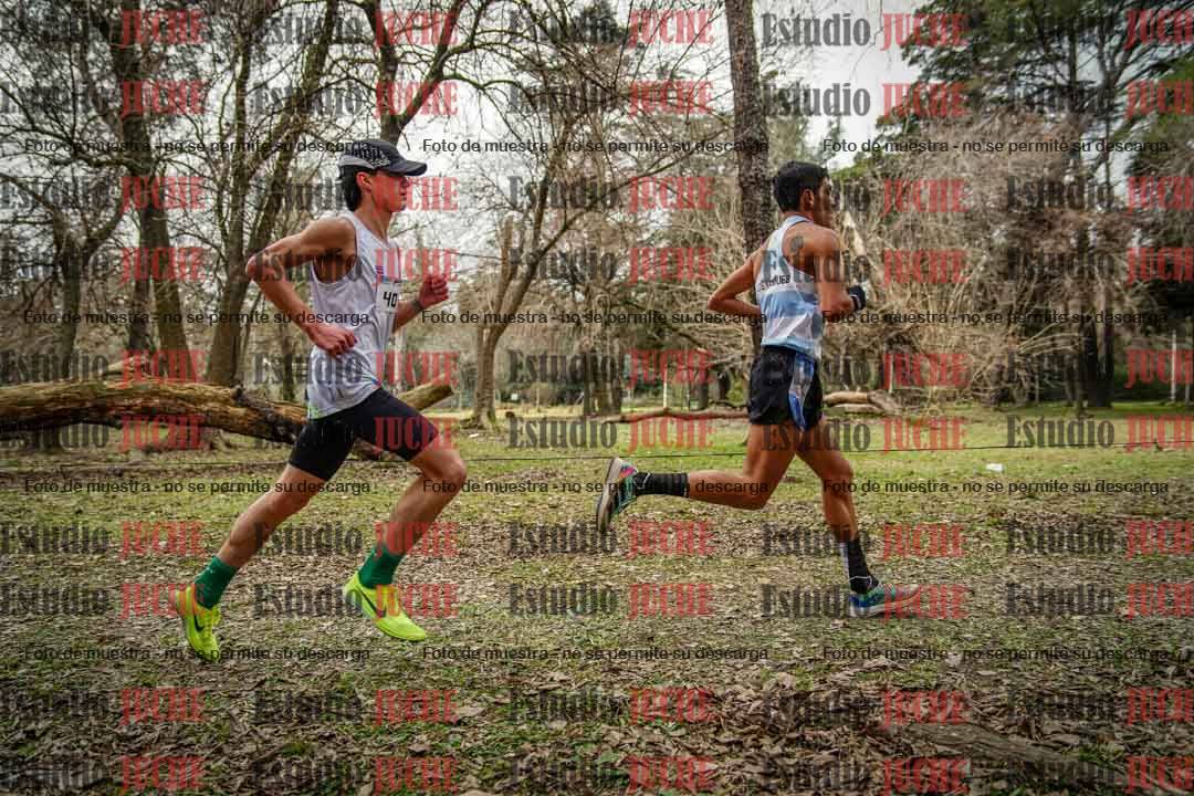 Fotos en el circuito