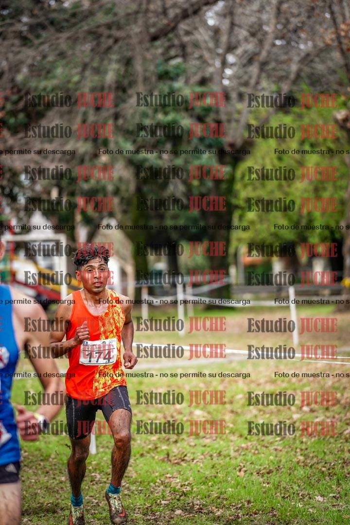 Fotos en el circuito