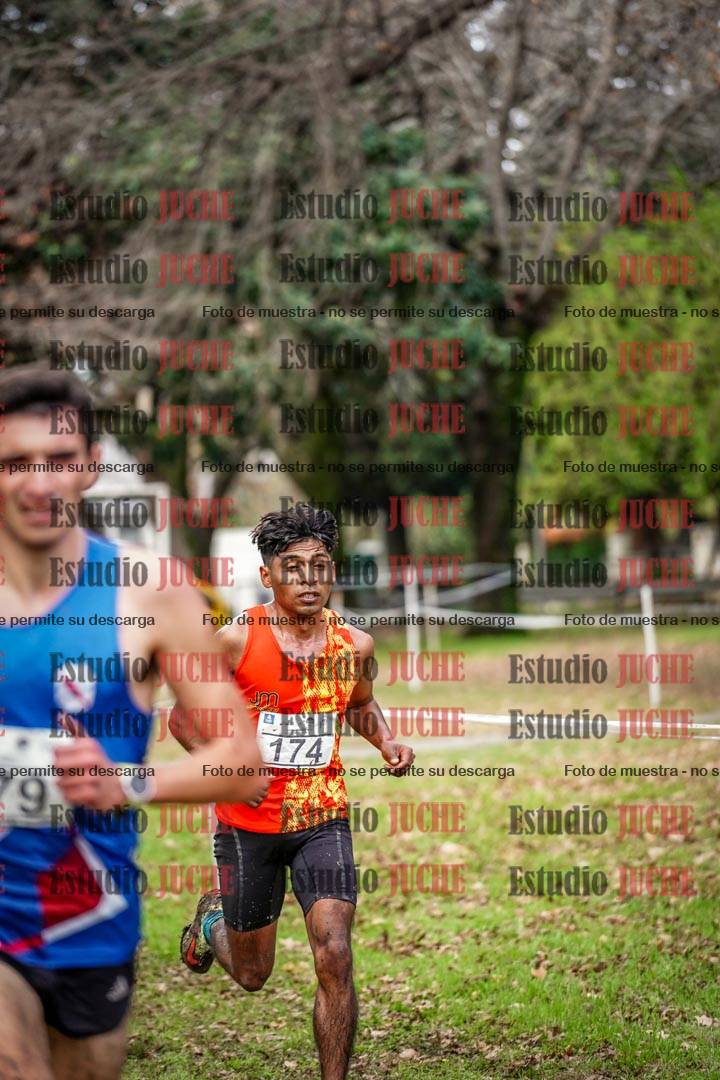 Fotos en el circuito